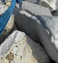 product-198-216 product-198-216